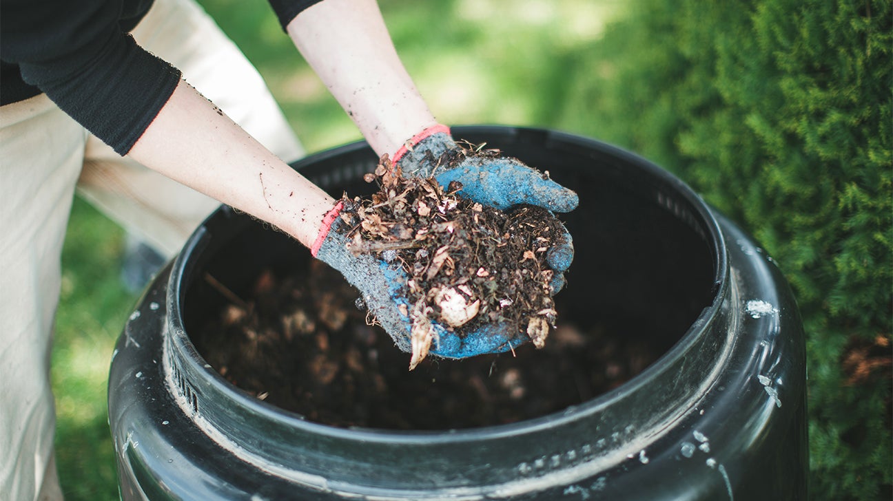 Compost Food Waste